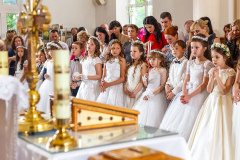 245-pr-3b